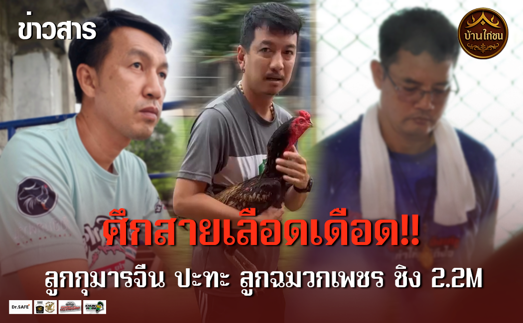 ศึกสายเลือดเดือด!!