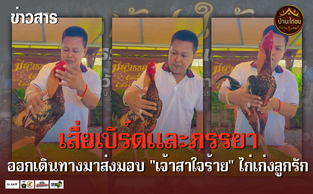มาแล้ว !