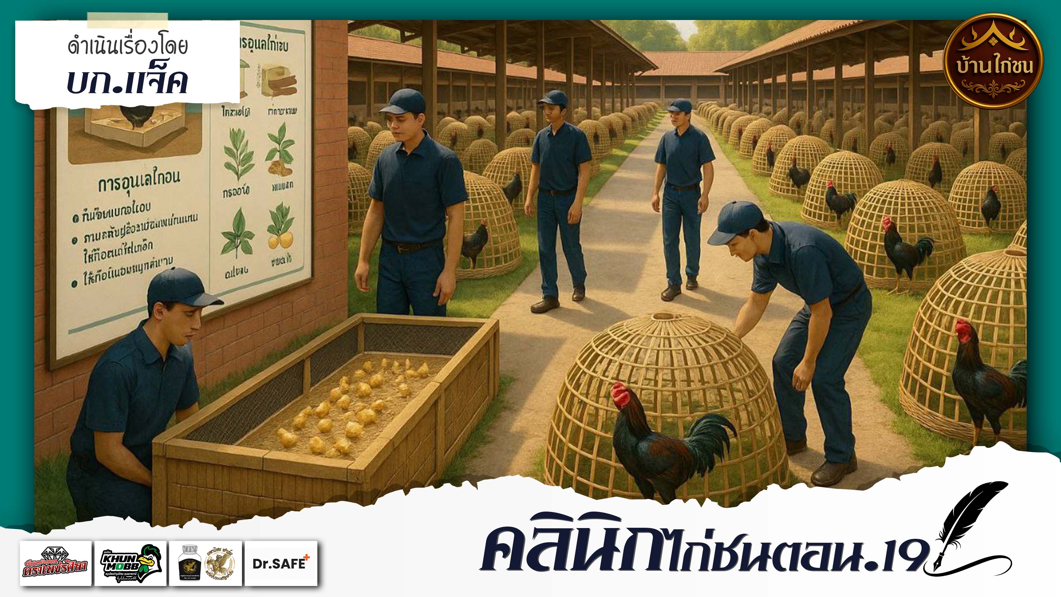 คลินิกไก่ชน 