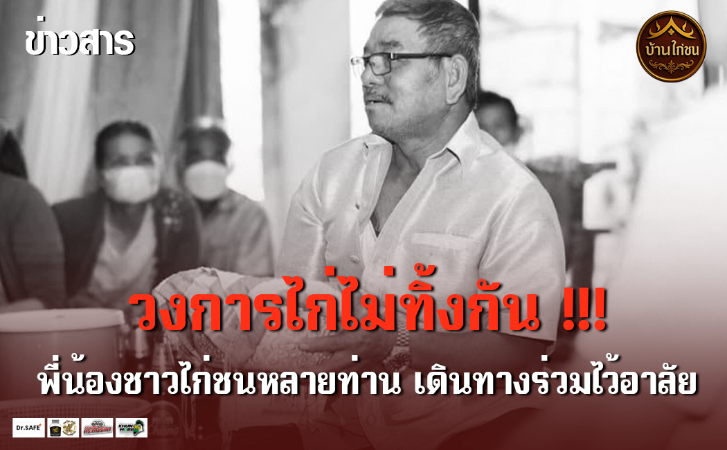 วงการไก่ไม่ทิ้งกัน
