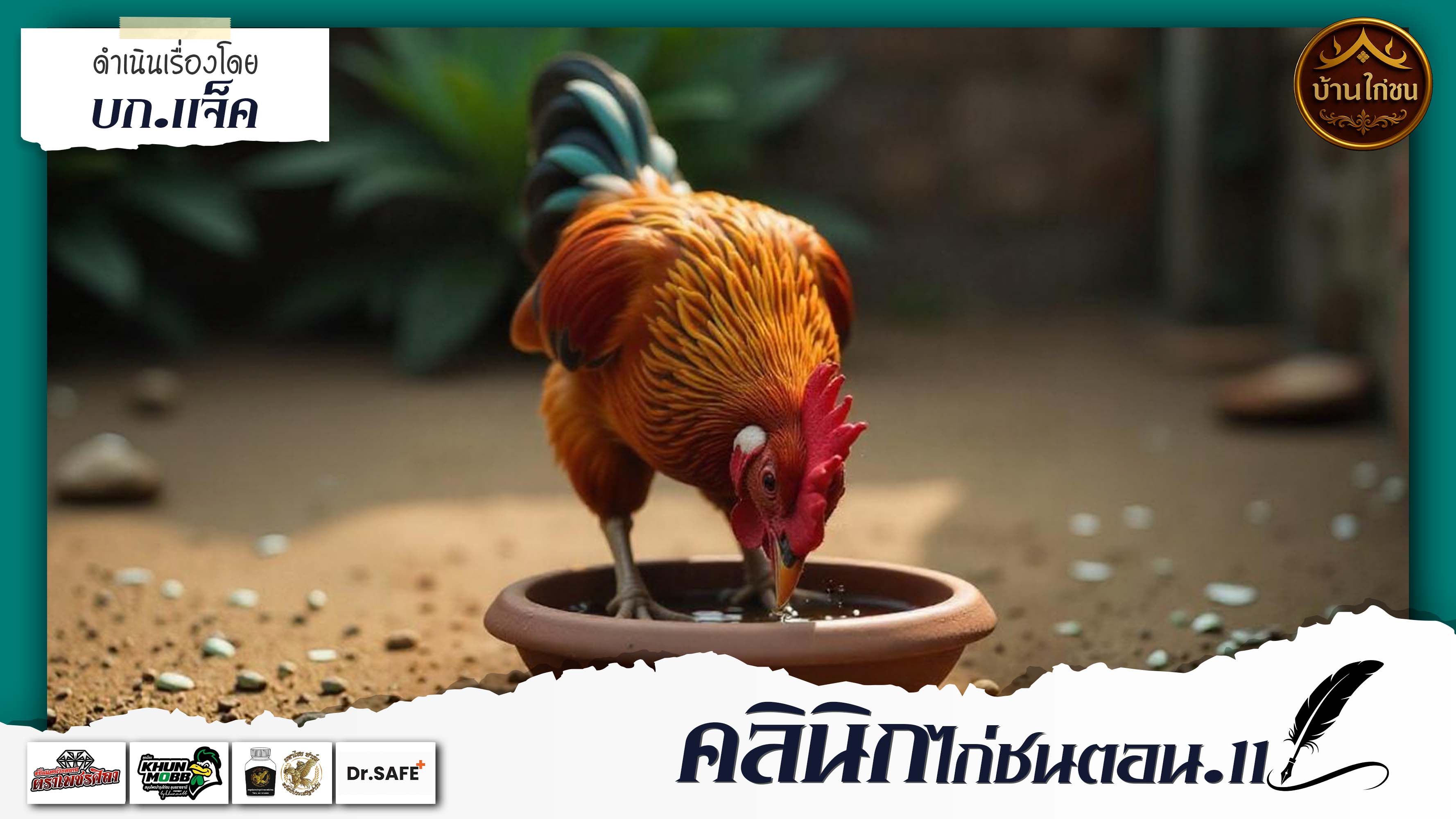 คลินิกไก่ชน 