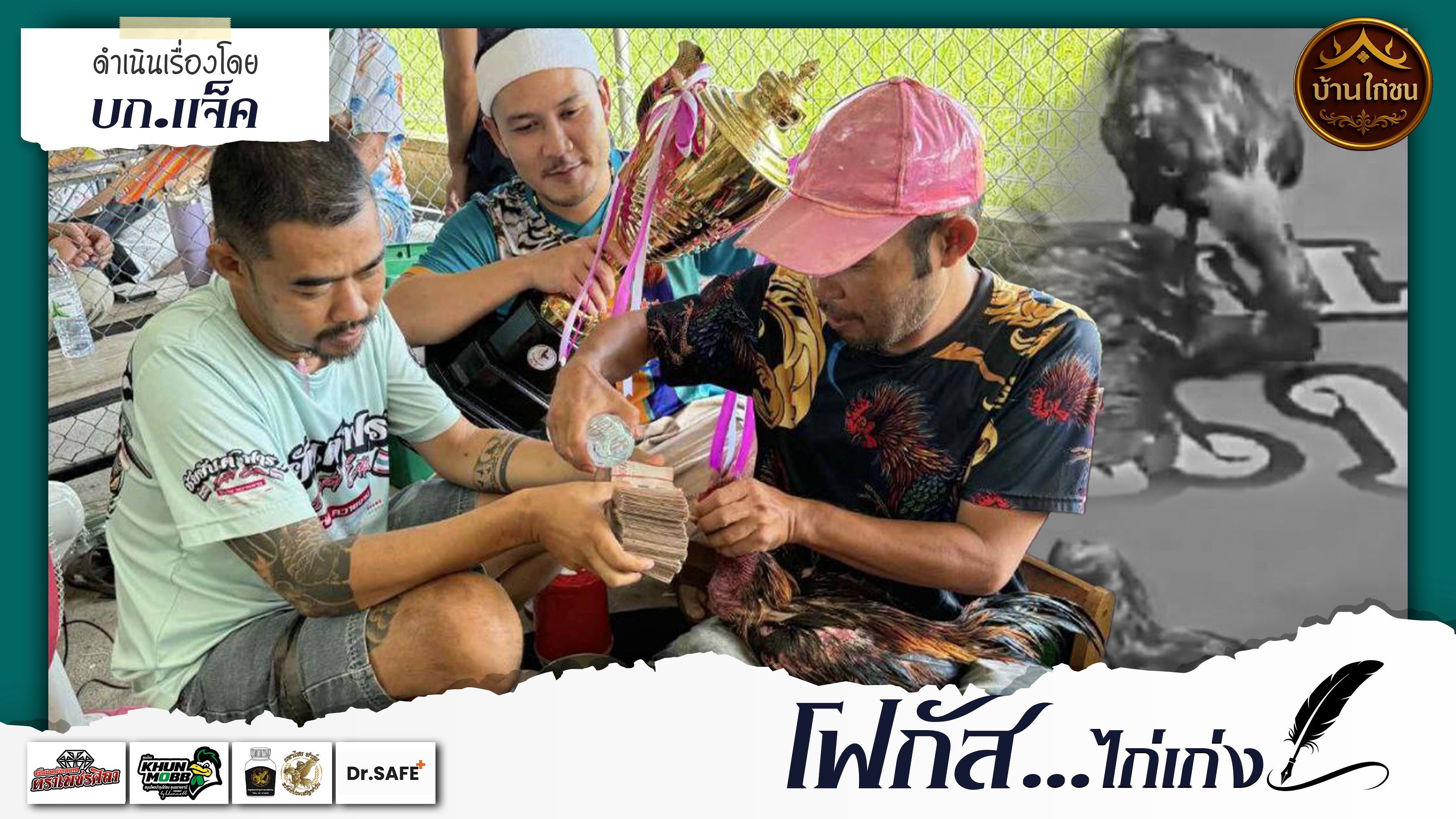 โฟกัส...ไก่เก่ง 