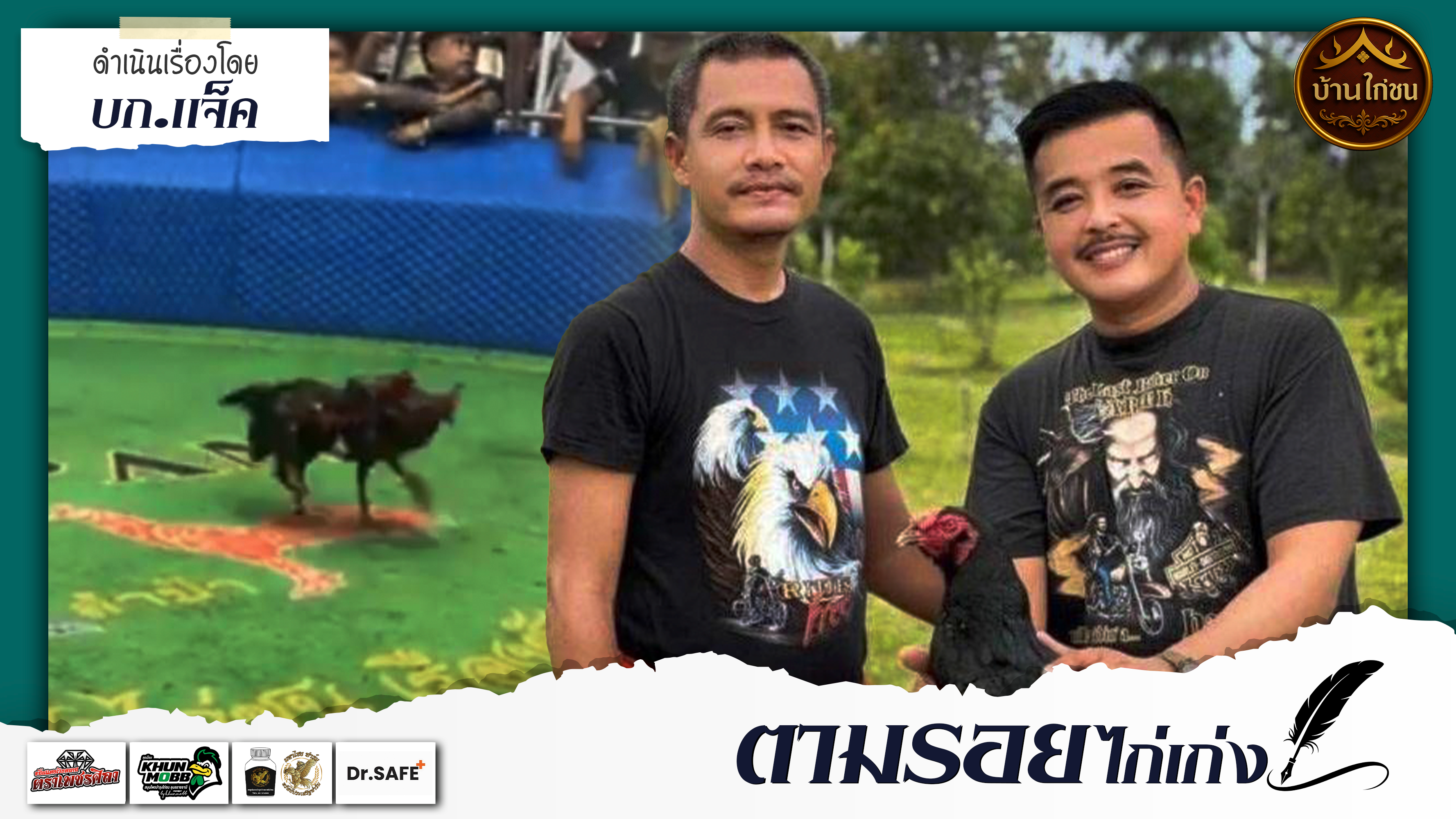 ตามรอยไก่เก่ง 