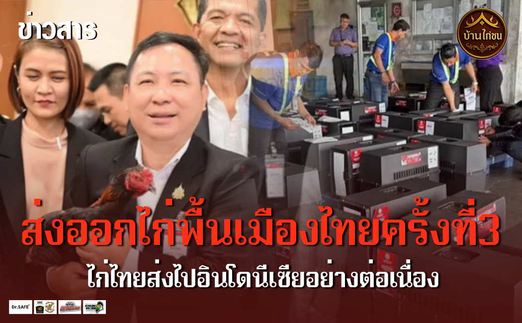 ส่งออกไก่พื้นเมืองไทย ครั้งที่3