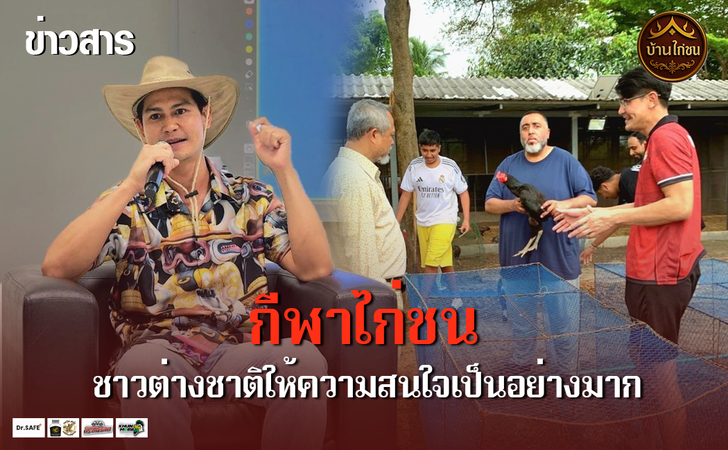กีฬาไก่ชนไทยฮอตฮิตไกลถึงต่างแดน